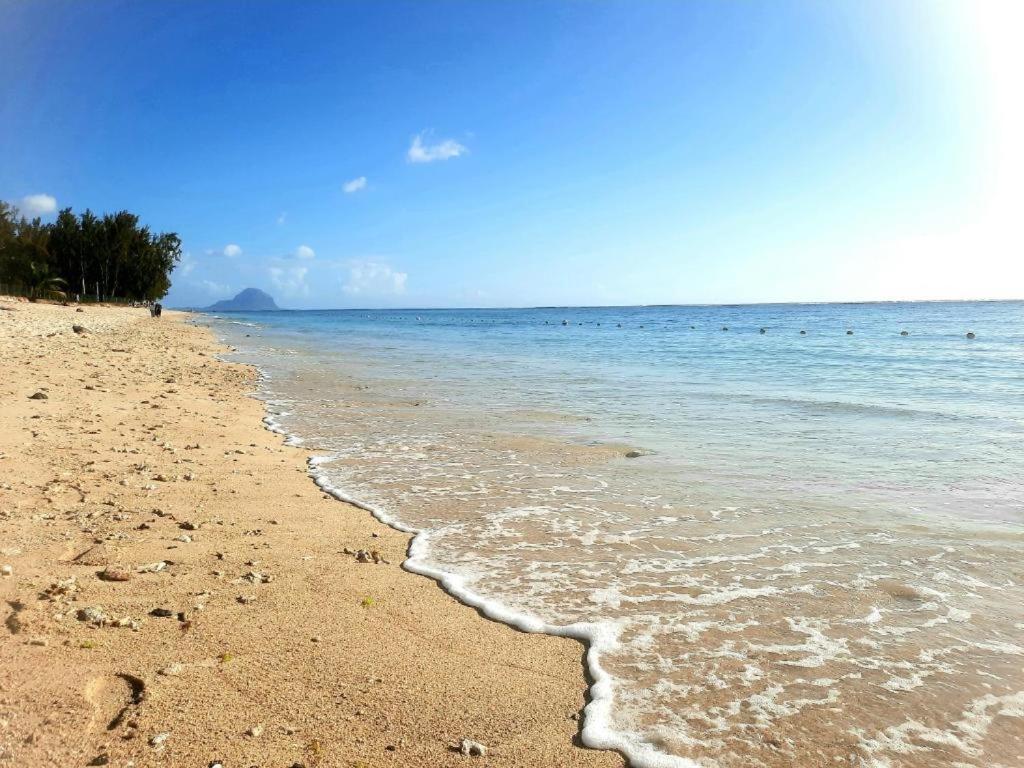 Sunkissed - Brand New Beach Apartment Located 50M From Beach Flic en Flac Exterior photo